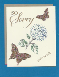 So Sorry and Best of Flowers card