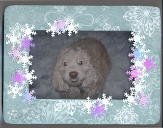 Snoflake frame with Roscoe copy